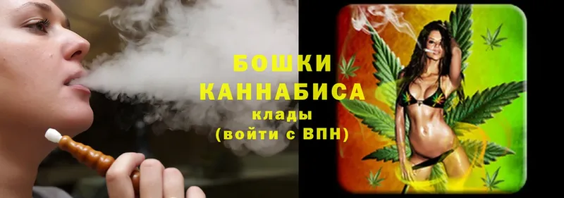 закладки  Дубовка  Каннабис White Widow 